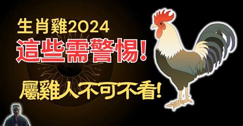 1981雞五行|【1981 雞】1981 雞年運勢大揭密：五行、大運及 2024 年運程！